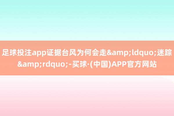 足球投注app证据台风为何会走&ldquo;迷踪&rdquo;-买球·(中国)APP官方网站
