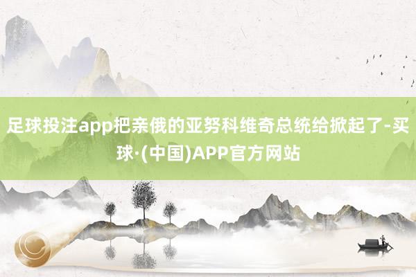 足球投注app把亲俄的亚努科维奇总统给掀起了-买球·(中国)APP官方网站