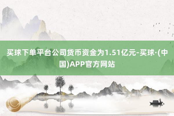 买球下单平台公司货币资金为1.51亿元-买球·(中国)APP官方网站