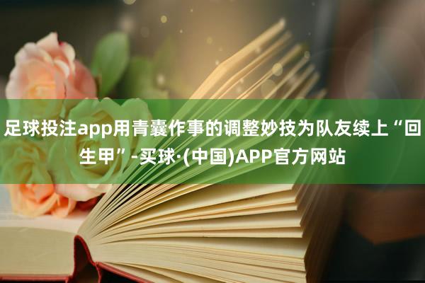 足球投注app用青囊作事的调整妙技为队友续上“回生甲”-买球·(中国)APP官方网站
