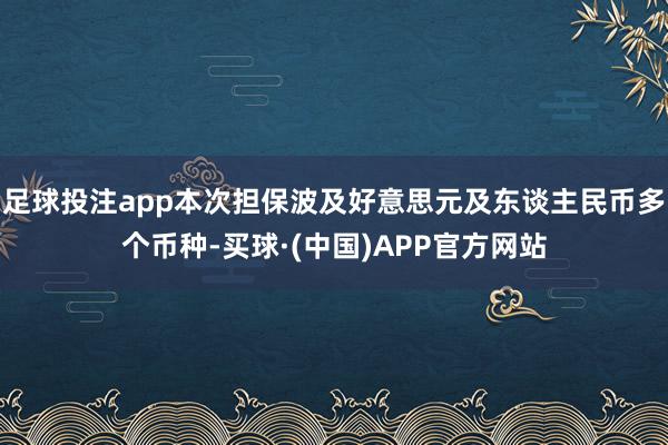 足球投注app本次担保波及好意思元及东谈主民币多个币种-买球·(中国)APP官方网站