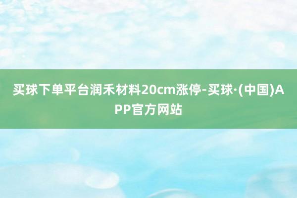 买球下单平台润禾材料20cm涨停-买球·(中国)APP官方网站