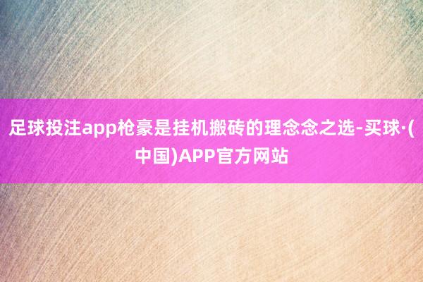 足球投注app枪豪是挂机搬砖的理念念之选-买球·(中国)APP官方网站