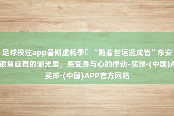 足球投注app暑期虚耗季㉕“随着世运逛成皆”东安湖通顺场——银翼旋舞的湖光里，感受身与心的律动-买球·(中国)APP官方网站