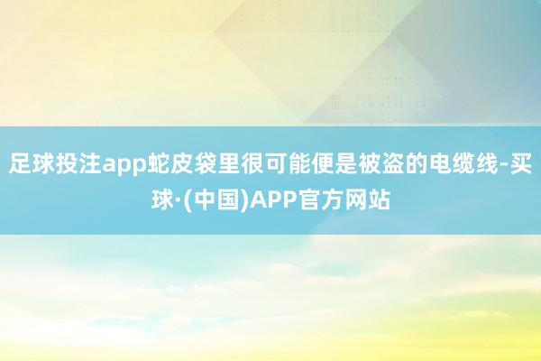 足球投注app蛇皮袋里很可能便是被盗的电缆线-买球·(中国)APP官方网站