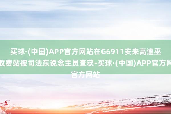 买球·(中国)APP官方网站在G6911安来高速巫溪收费站被司法东说念主员查获-买球·(中国)APP官方网站