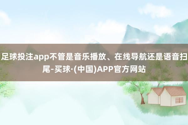 足球投注app不管是音乐播放、在线导航还是语音扫尾-买球·(中国)APP官方网站