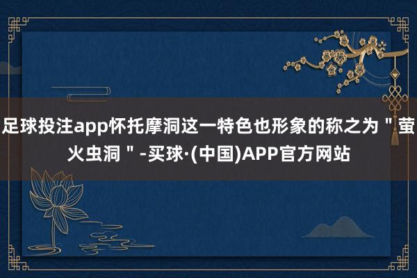 足球投注app怀托摩洞这一特色也形象的称之为＂萤火虫洞＂-买球·(中国)APP官方网站