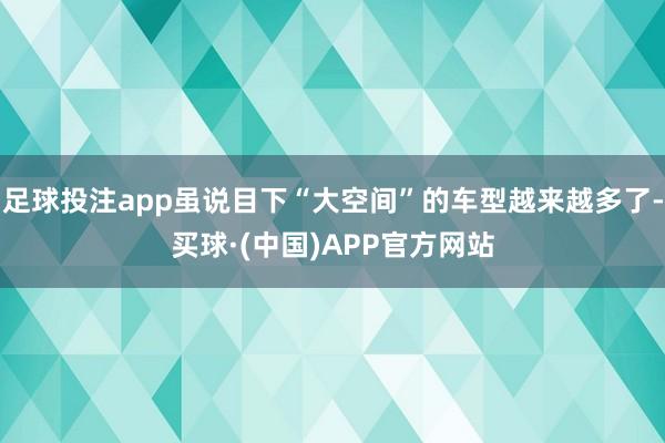 足球投注app虽说目下“大空间”的车型越来越多了-买球·(中国)APP官方网站