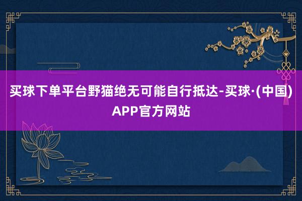 买球下单平台野猫绝无可能自行抵达-买球·(中国)APP官方网站