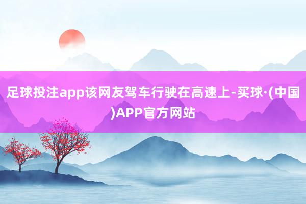 足球投注app该网友驾车行驶在高速上-买球·(中国)APP官方网站
