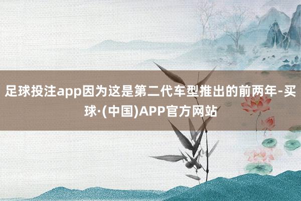 足球投注app因为这是第二代车型推出的前两年-买球·(中国)APP官方网站