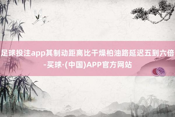 足球投注app其制动距离比干燥柏油路延迟五到六倍-买球·(中国)APP官方网站