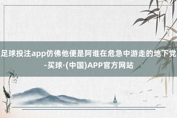 足球投注app仿佛他便是阿谁在危急中游走的地下党-买球·(中国)APP官方网站
