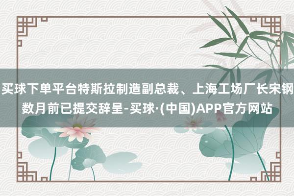 买球下单平台特斯拉制造副总裁、上海工场厂长宋钢数月前已提交辞呈-买球·(中国)APP官方网站
