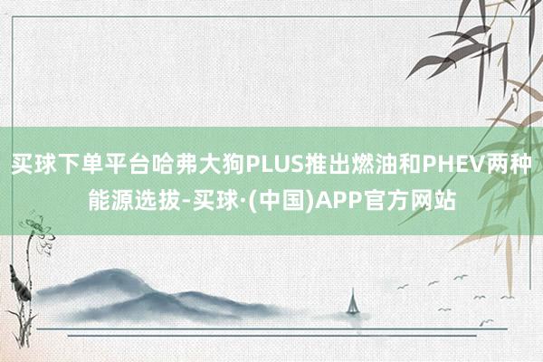 买球下单平台哈弗大狗PLUS推出燃油和PHEV两种能源选拔-买球·(中国)APP官方网站