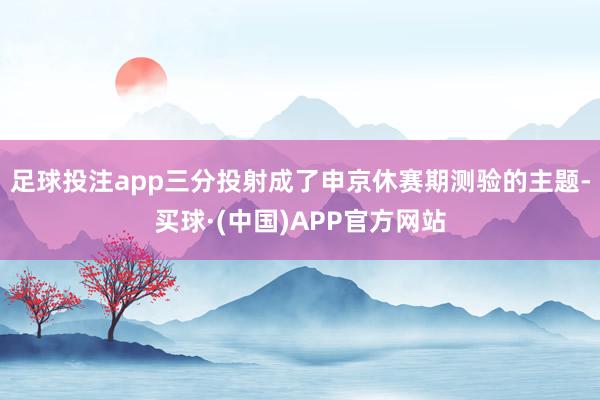 足球投注app三分投射成了申京休赛期测验的主题-买球·(中国)APP官方网站