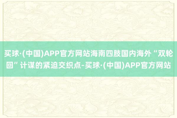 买球·(中国)APP官方网站海南四肢国内海外“双轮回”计谋的紧迫交织点-买球·(中国)APP官方网站