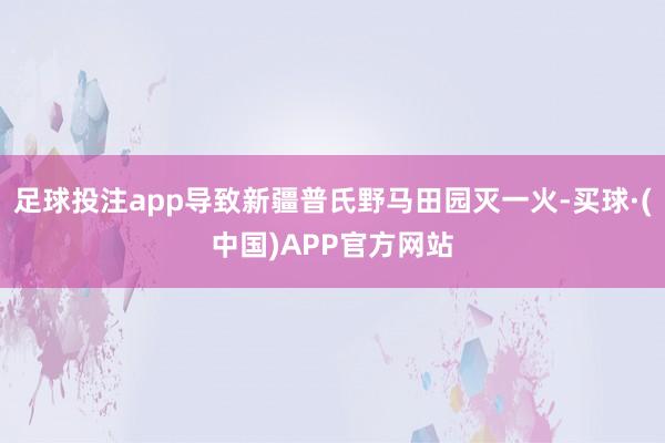 足球投注app导致新疆普氏野马田园灭一火-买球·(中国)APP官方网站