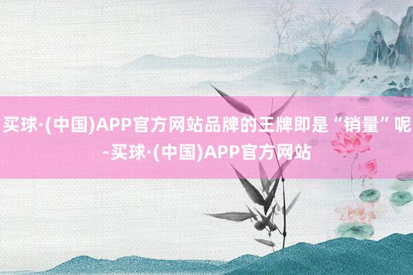 买球·(中国)APP官方网站品牌的王牌即是“销量”呢-买球·(中国)APP官方网站