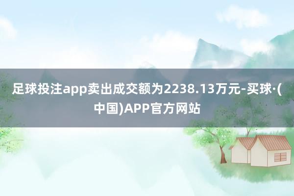 足球投注app卖出成交额为2238.13万元-买球·(中国)APP官方网站