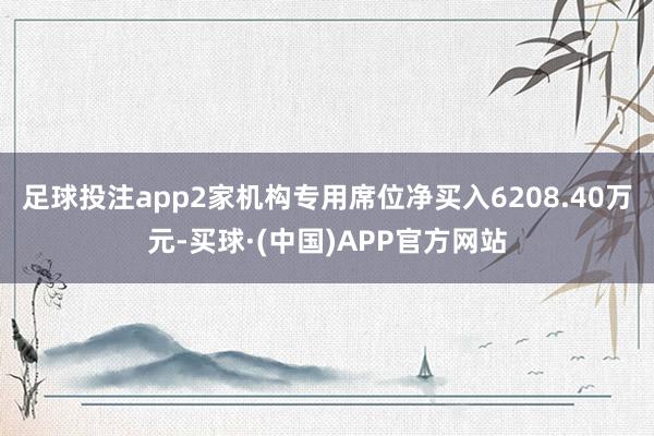 足球投注app2家机构专用席位净买入6208.40万元-买球·(中国)APP官方网站