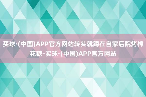 买球·(中国)APP官方网站转头就蹲在自家后院烤棉花糖-买球·(中国)APP官方网站