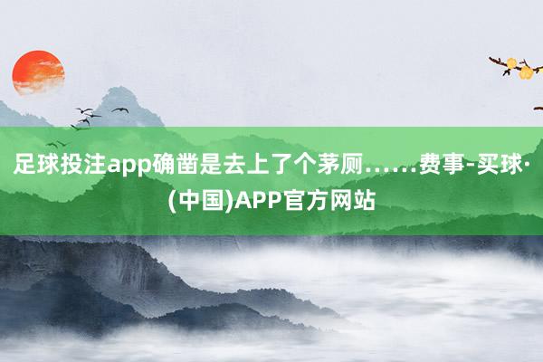 足球投注app确凿是去上了个茅厕……费事-买球·(中国)APP官方网站