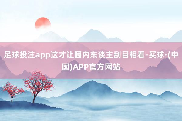 足球投注app这才让圈内东谈主刮目相看-买球·(中国)APP官方网站