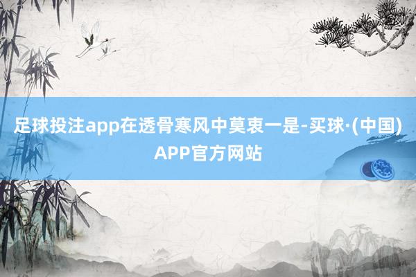 足球投注app在透骨寒风中莫衷一是-买球·(中国)APP官方网站