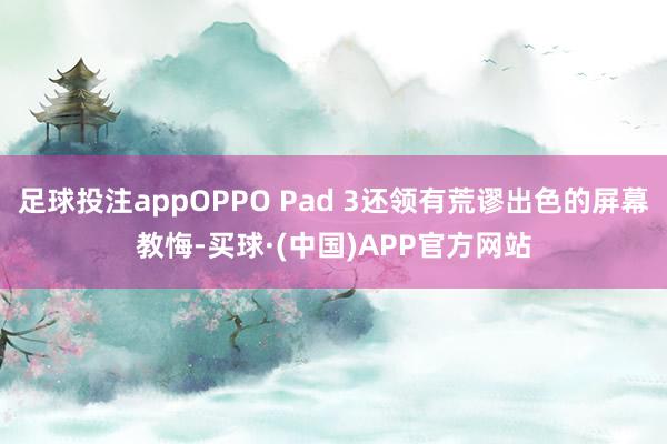 足球投注appOPPO Pad 3还领有荒谬出色的屏幕教悔-买球·(中国)APP官方网站