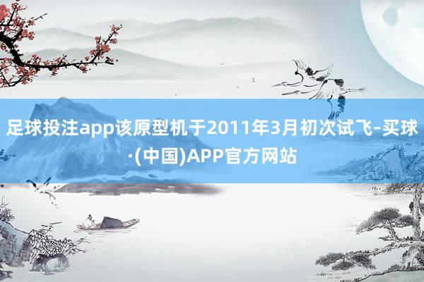 足球投注app该原型机于2011年3月初次试飞-买球·(中国)APP官方网站