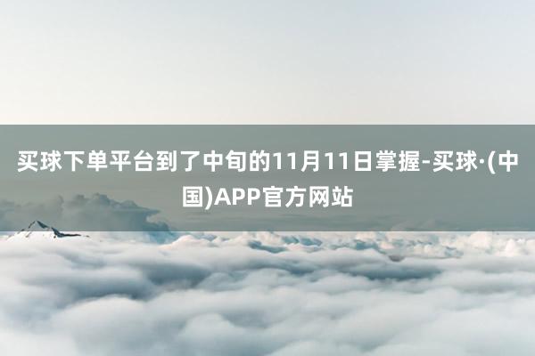 买球下单平台到了中旬的11月11日掌握-买球·(中国)APP官方网站