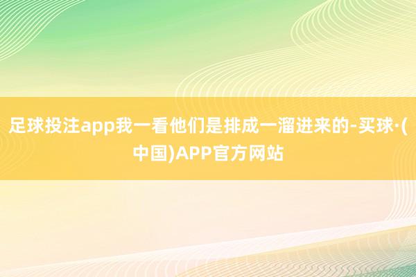 足球投注app我一看他们是排成一溜进来的-买球·(中国)APP官方网站