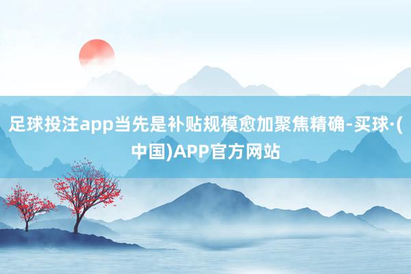 足球投注app当先是补贴规模愈加聚焦精确-买球·(中国)APP官方网站