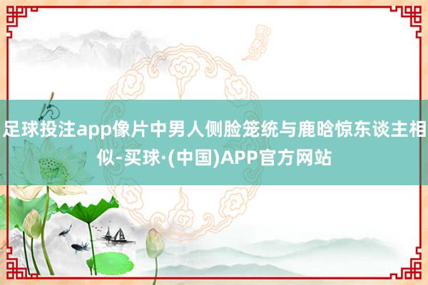足球投注app像片中男人侧脸笼统与鹿晗惊东谈主相似-买球·(中国)APP官方网站