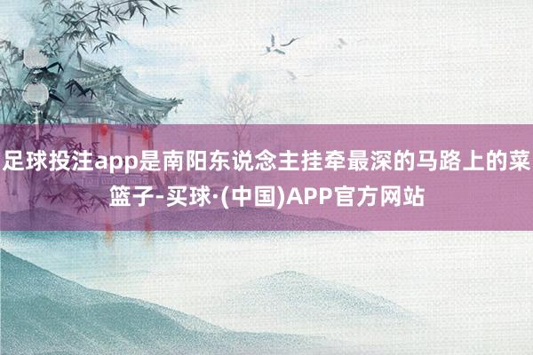 足球投注app是南阳东说念主挂牵最深的马路上的菜篮子-买球·(中国)APP官方网站