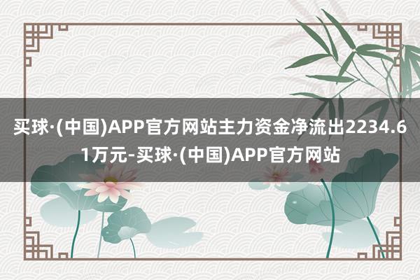 买球·(中国)APP官方网站主力资金净流出2234.61万元-买球·(中国)APP官方网站