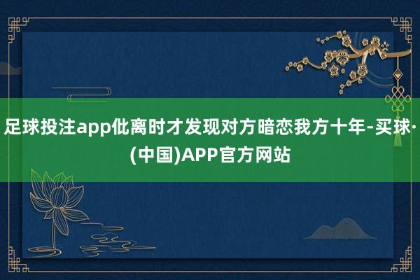 足球投注app仳离时才发现对方暗恋我方十年-买球·(中国)APP官方网站