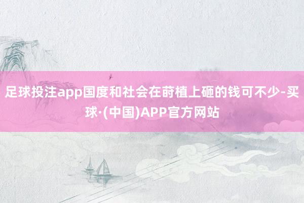 足球投注app国度和社会在莳植上砸的钱可不少-买球·(中国)APP官方网站
