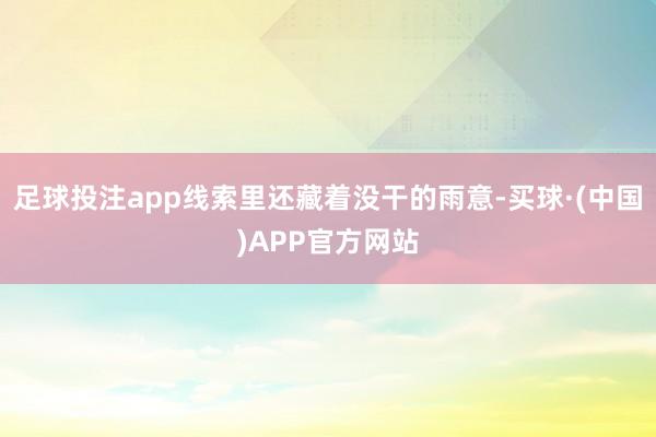 足球投注app线索里还藏着没干的雨意-买球·(中国)APP官方网站