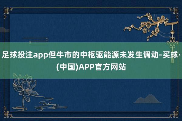 足球投注app但牛市的中枢驱能源未发生调动-买球·(中国)APP官方网站