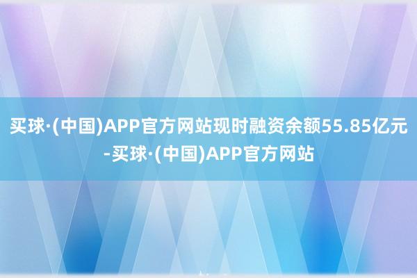 买球·(中国)APP官方网站现时融资余额55.85亿元-买球·(中国)APP官方网站