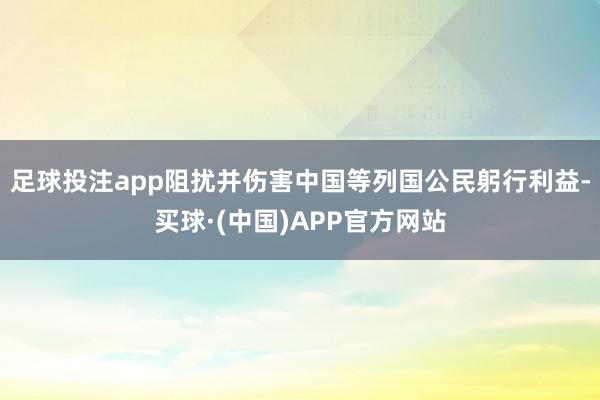 足球投注app阻扰并伤害中国等列国公民躬行利益-买球·(中国)APP官方网站