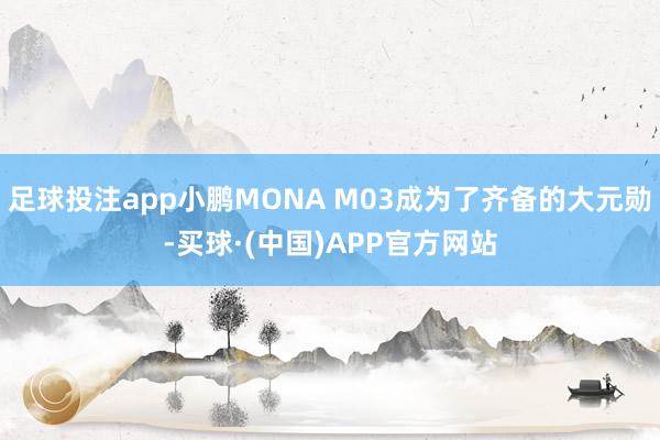 足球投注app小鹏MONA M03成为了齐备的大元勋-买球·(中国)APP官方网站