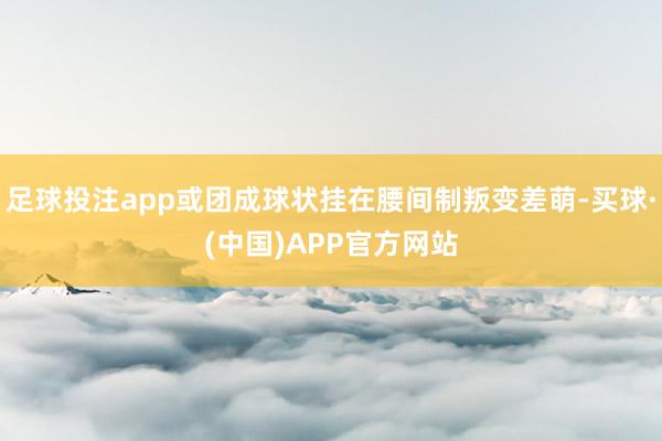 足球投注app或团成球状挂在腰间制叛变差萌-买球·(中国)APP官方网站