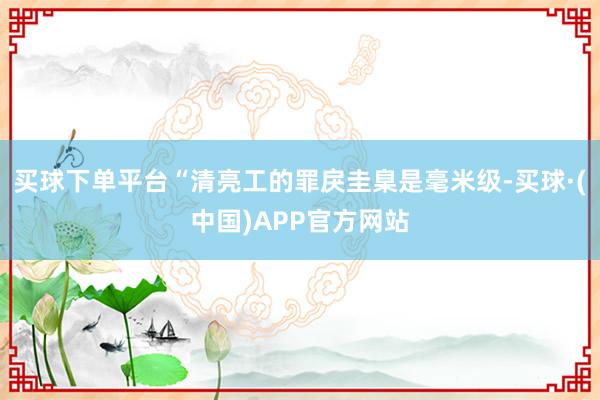 买球下单平台“清亮工的罪戾圭臬是毫米级-买球·(中国)APP官方网站