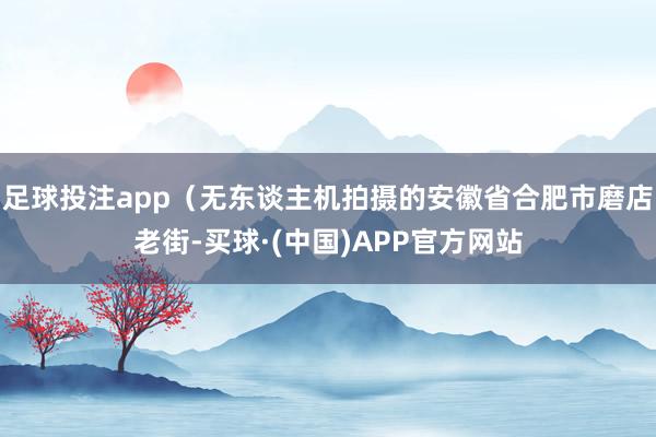 足球投注app（无东谈主机拍摄的安徽省合肥市磨店老街-买球·(中国)APP官方网站