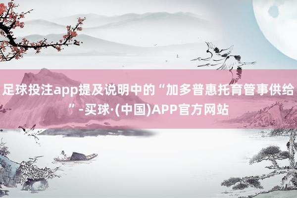 足球投注app提及说明中的“加多普惠托育管事供给”-买球·(中国)APP官方网站