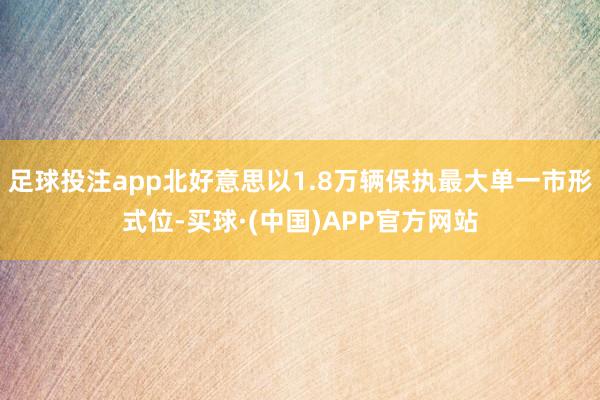 足球投注app北好意思以1.8万辆保执最大单一市形式位-买球·(中国)APP官方网站